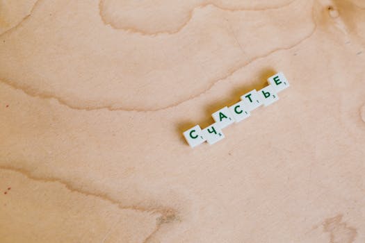 Casino Image