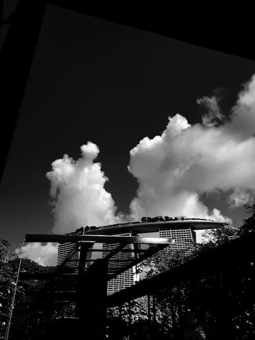 Casino Image