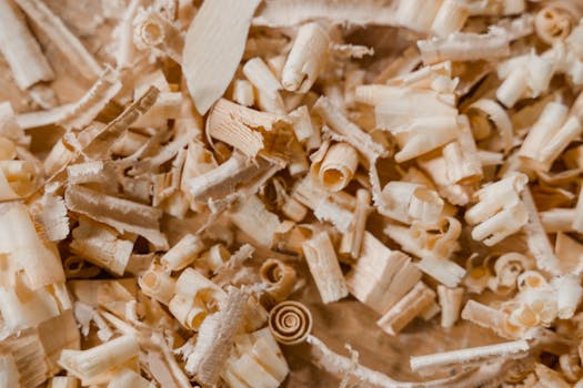 Casino Image