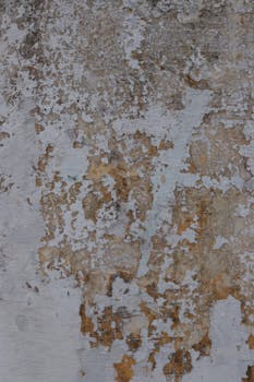Casino Image
