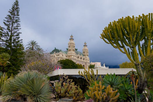 Casino Image