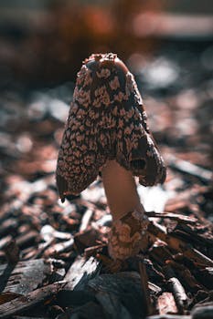 Casino Image